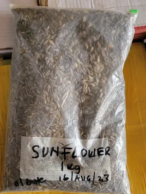 Sun Flower Seeds 1kg