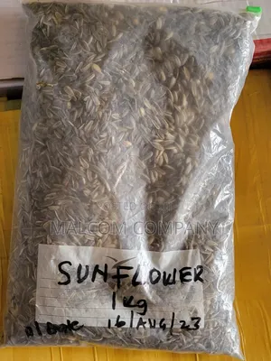 Sun Flower Seeds 1kg