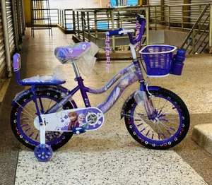 Kids' Bicycle Purple