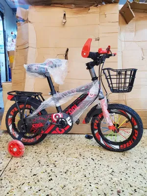 Kids Bicycle With Training Wheels