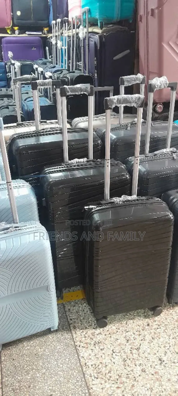 Safari Bags Full Set
