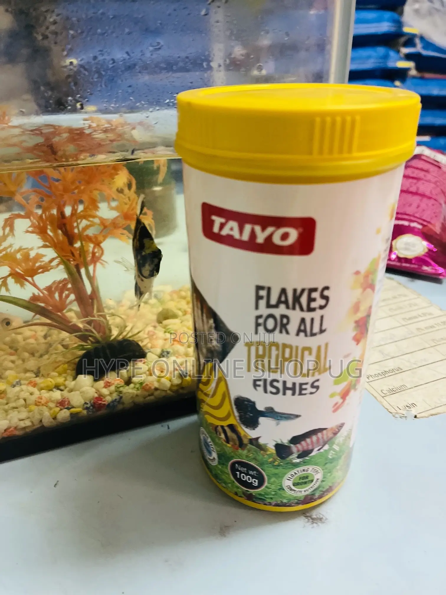 Immune System Healthy Aquarium Fish Food