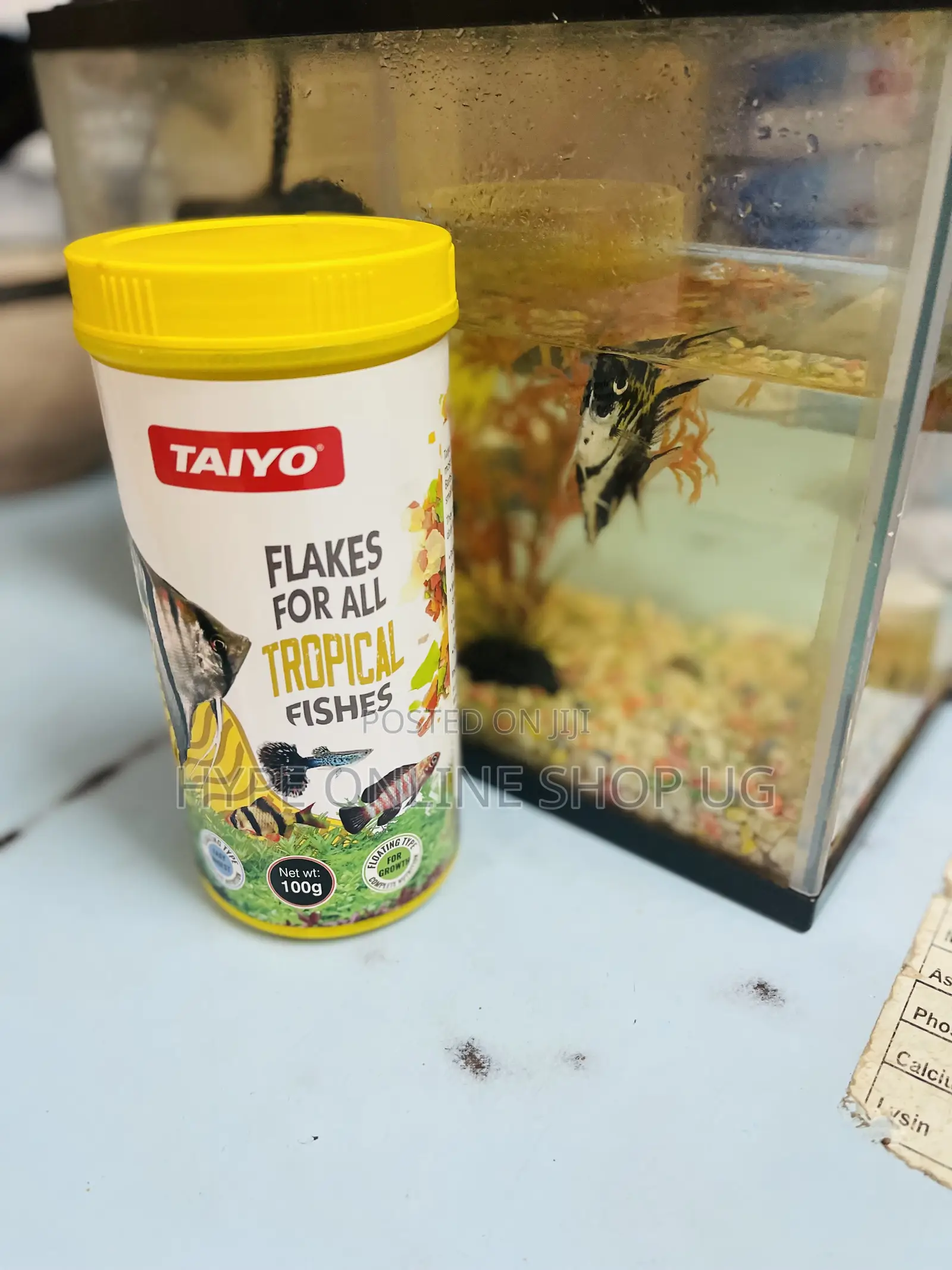 Immune System Healthy Aquarium Fish Food