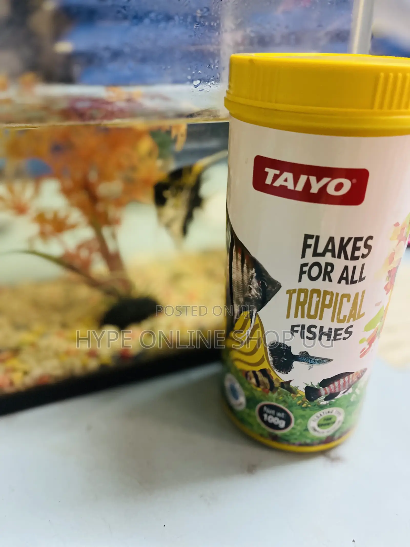 Immune System Healthy Aquarium Fish Food