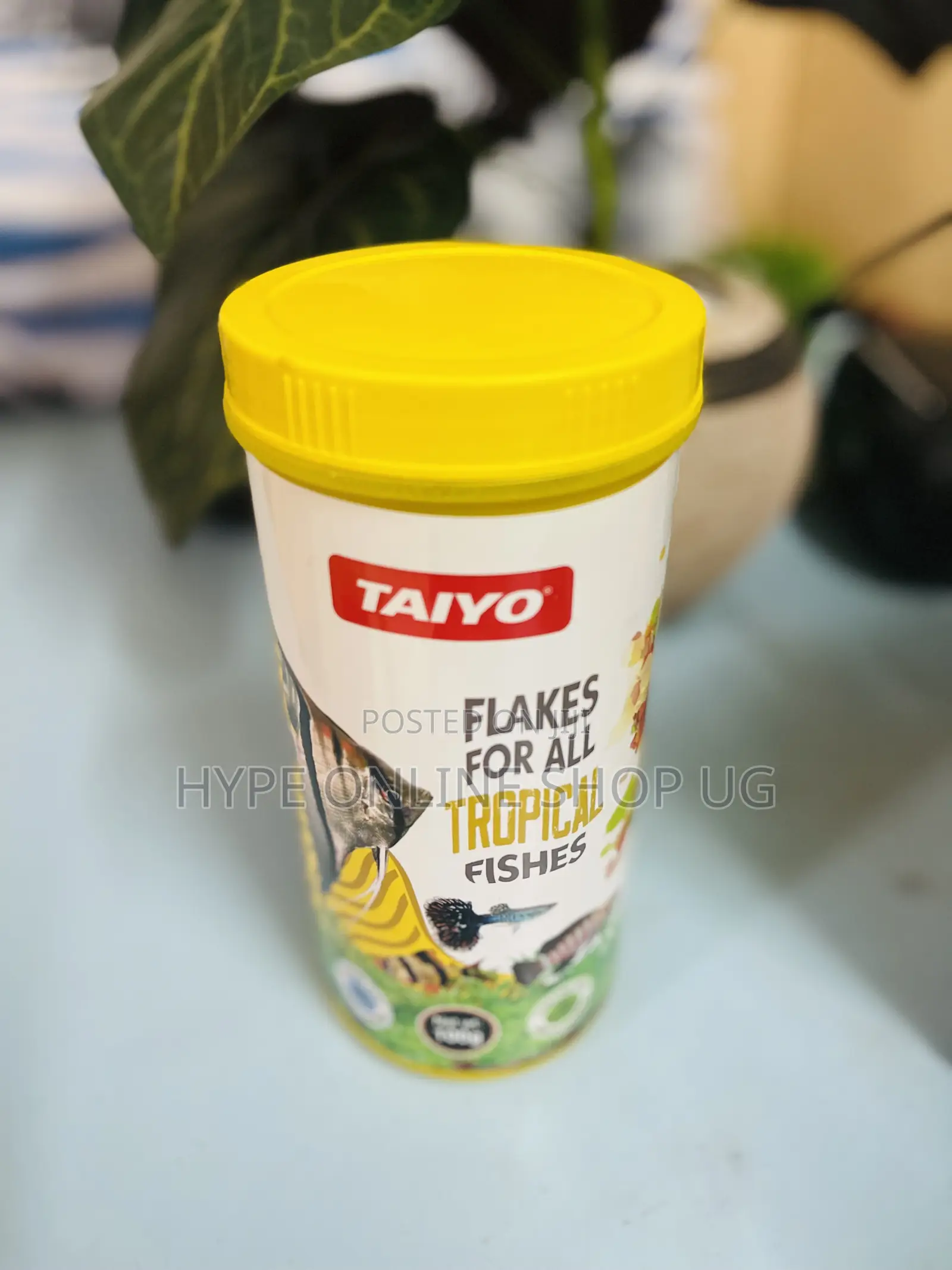 Blessings Aquarium Fish Food