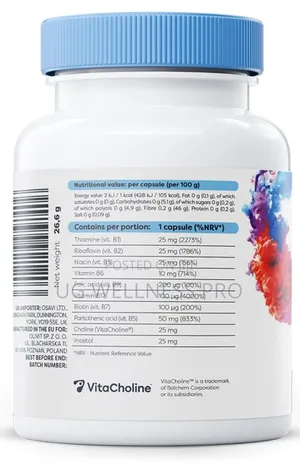 Osavi B-Complex With Choline Inositol - 60 Vegan Caps