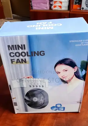 Portable Steam Fan/Mini Coming Fan