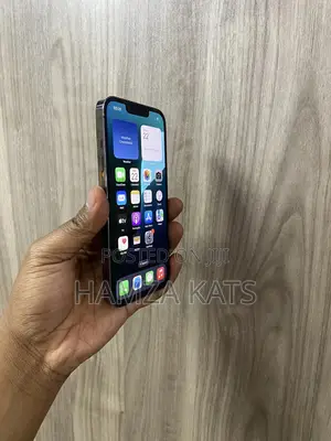 Apple iPhone 13 Pro 128 GB Black