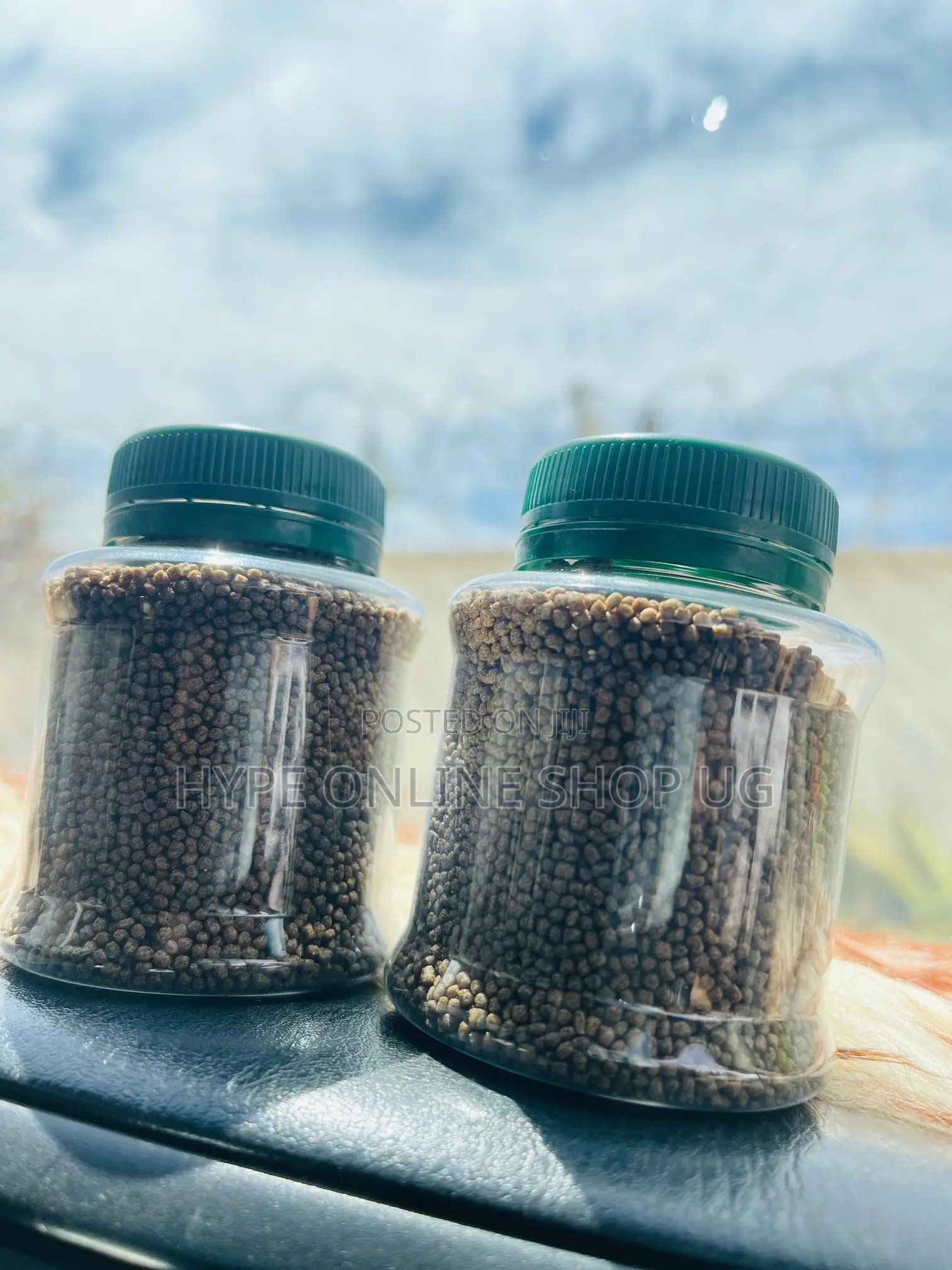 Fish Feed Food