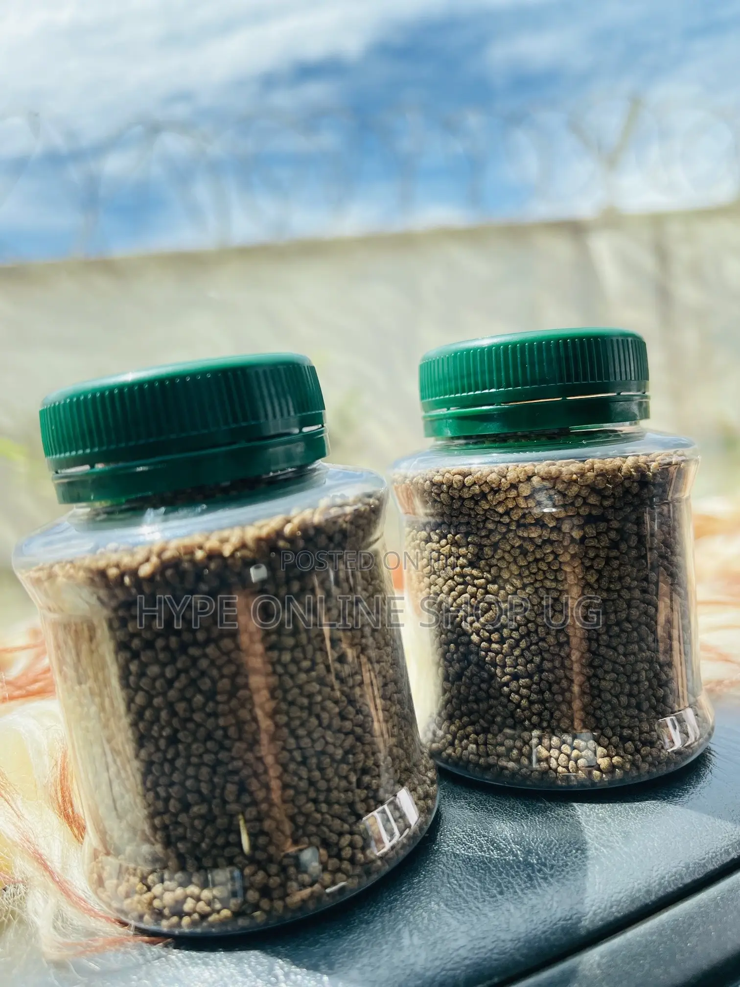 Healthy Pellets Fish Food
