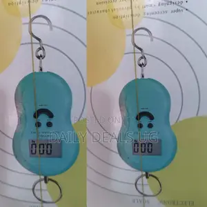 Portable Electric Scale