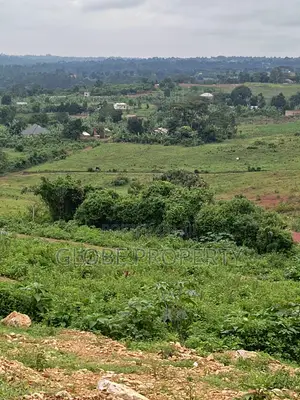 50x100 Plot for Sale in Nakasajja