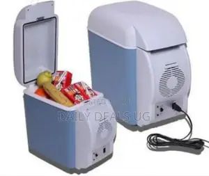 Mini Car Fridge