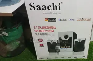 Saachi Speaker System