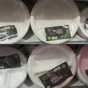 25 PCS Disposable Plates