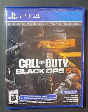 Call of Duty Black Ops 6 (Ps4)