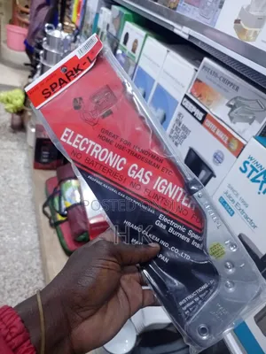 Electronic Gas Igniter