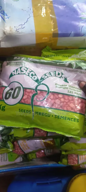 Naseco Hybrid Maize 125dqys to Mature