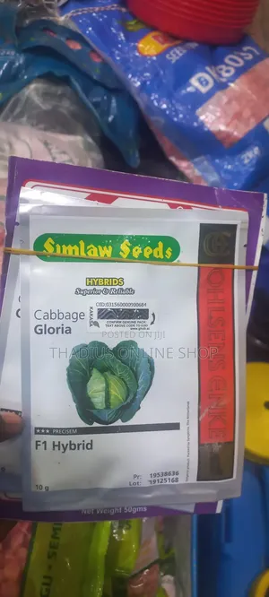 Gloria F1 Hybrid Cabbage 10g