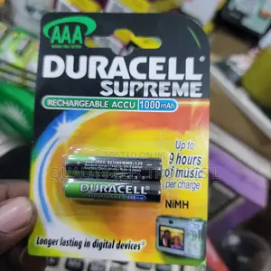 AAA Duracel Rechargeables (1)