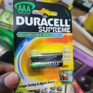 AAA Duracel Rechargeables (1)
