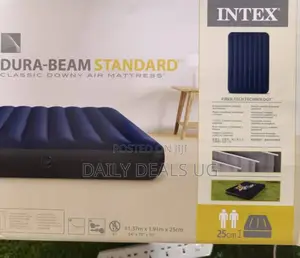 Intex Portable Air Mattress