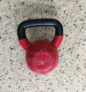 12kg Kettlebell