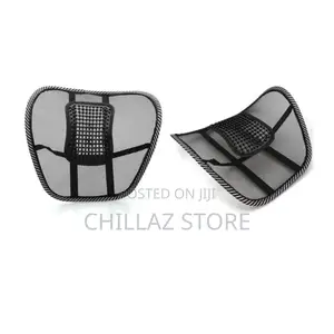 Mesh Lumbar Back Support.
