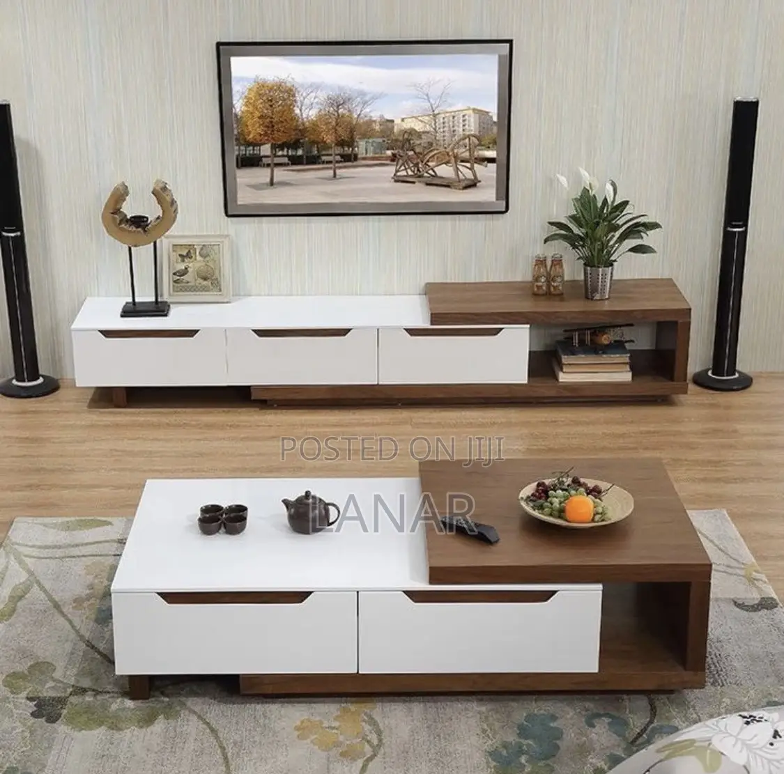 Tv Stand and Center Table
