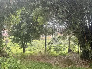 Prime Residential Plot in Nalyako, Naalya.(2.89 Acres)