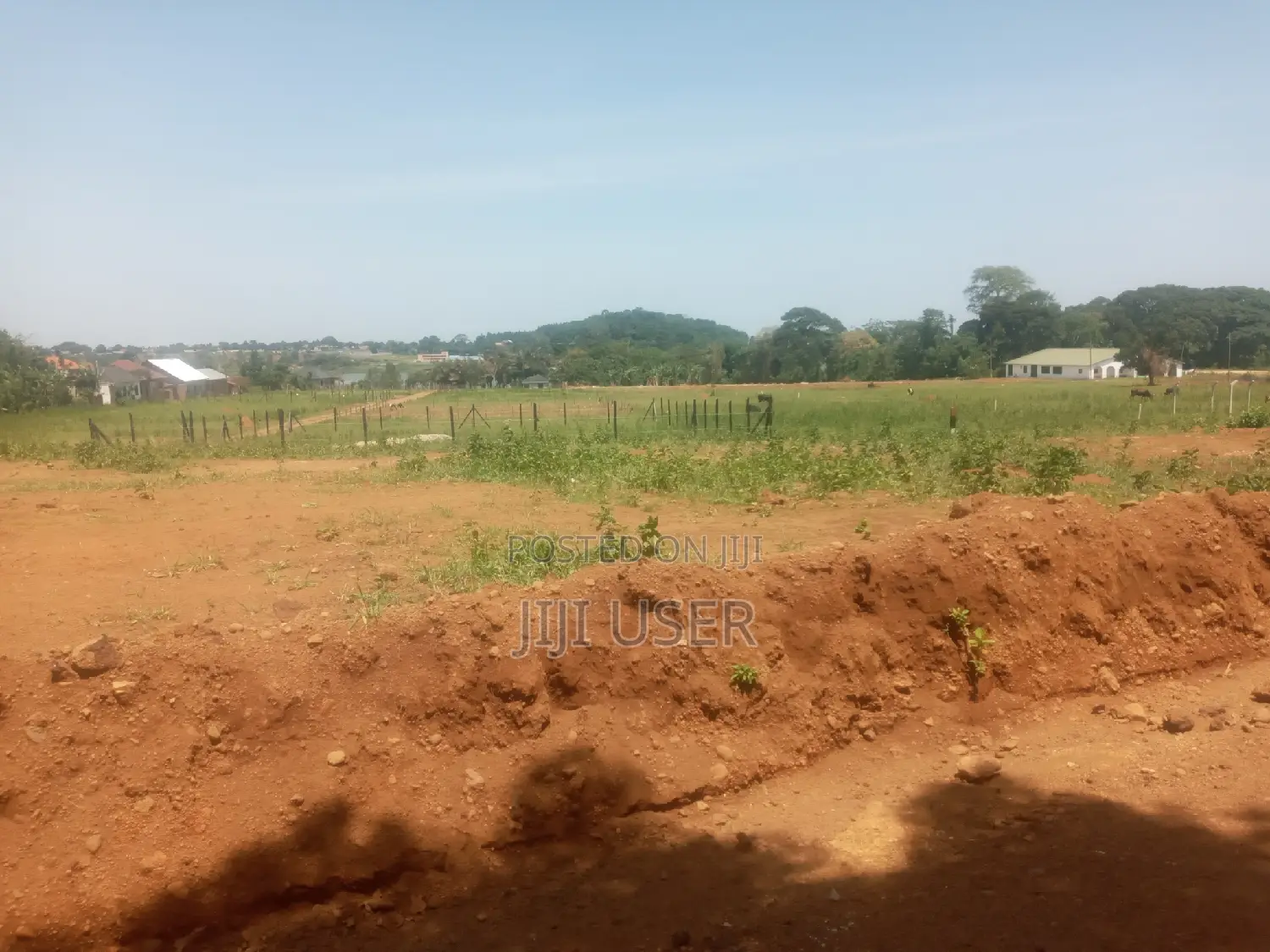 Mile Land For Sale