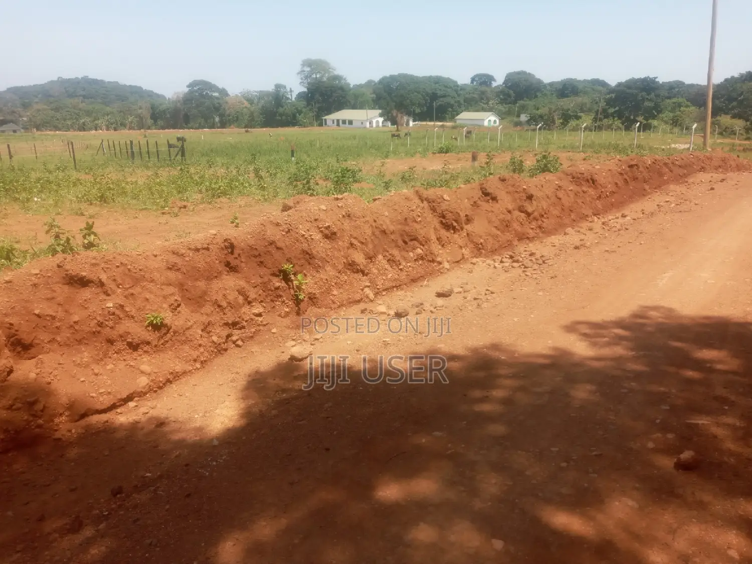 Mile Land For Sale