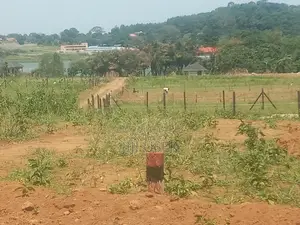 Mile Land For Sale