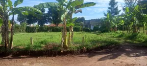 Land on Sale 40 by 50 in Gayaza Magyigye