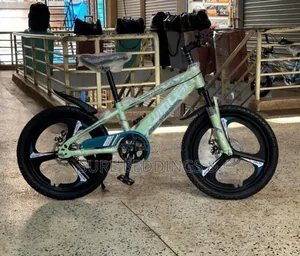 Heavy Size 20 Bike