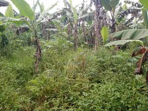 100 Acres of Land for Sale in Kabarole District