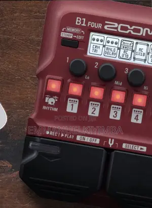 B1four - Multi Effect Bass Processor