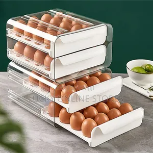 Egg Storage Box