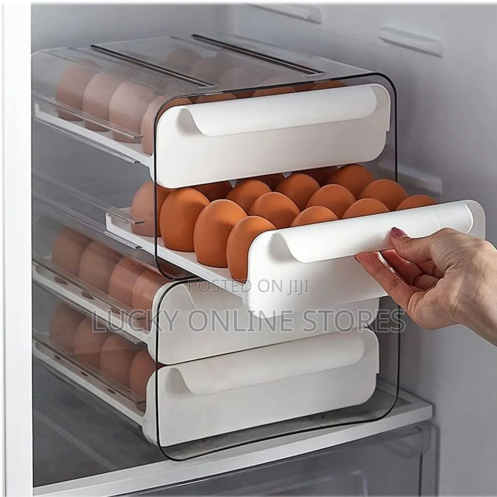 Egg Storage Box