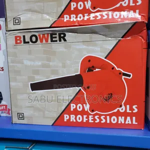 Professional Electric Dust Blower