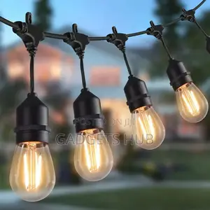 Festoon Lights String Light
15 Led String Lights Outdoor