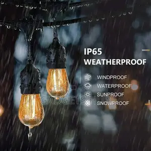 Festoon Lights String Light
15 Led String Lights Outdoor