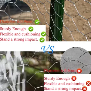 Galvanised Chicken Wiremesh