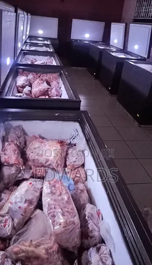 Fresh Dog Food