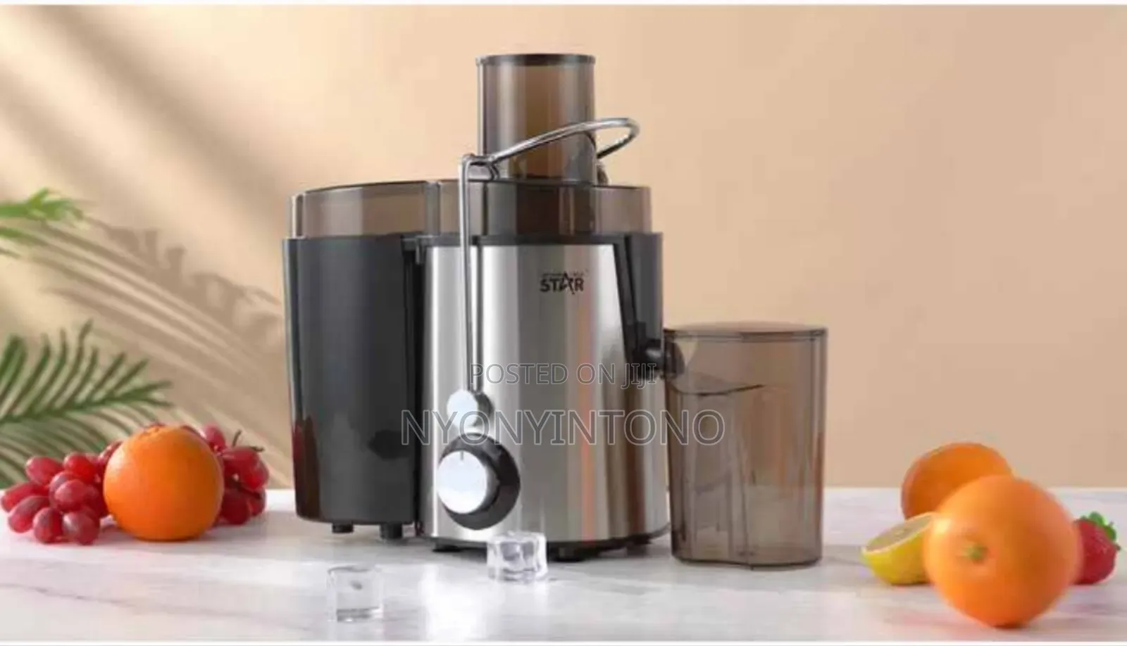 Winningstar Automatic Electric Juicer