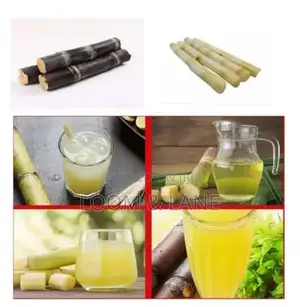 Electric Automatic Sugarcane Juice Extractor Machine