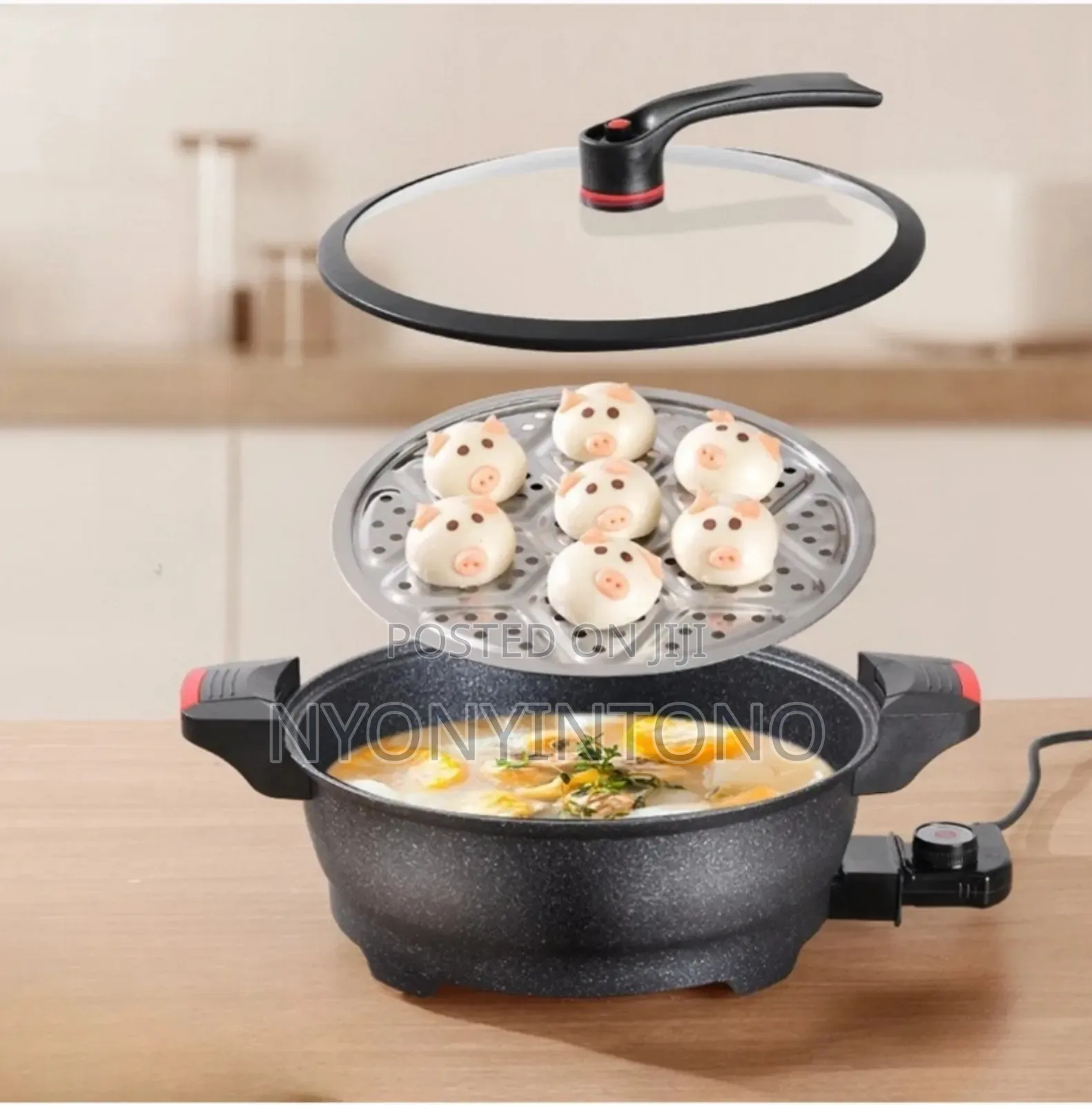 Hoffmans Electric Micro Pressure Cooker