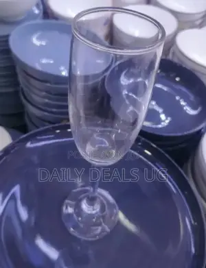 Drinking Wine Glass