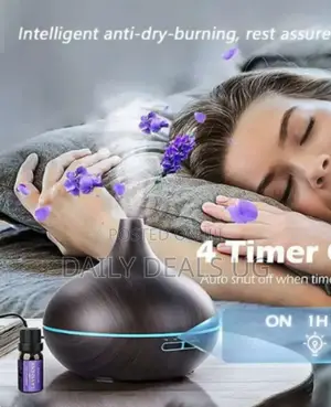 Portable Aroma Humidifier