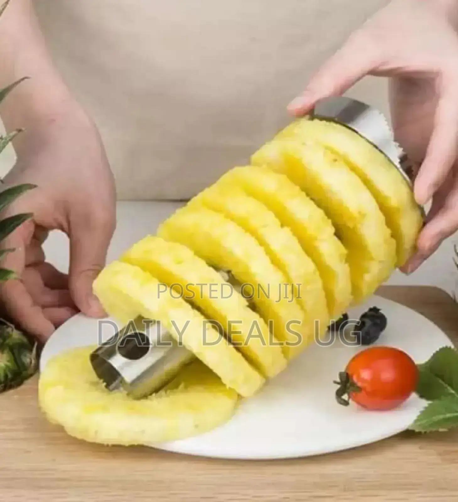 Handheld Pineapple Cutter